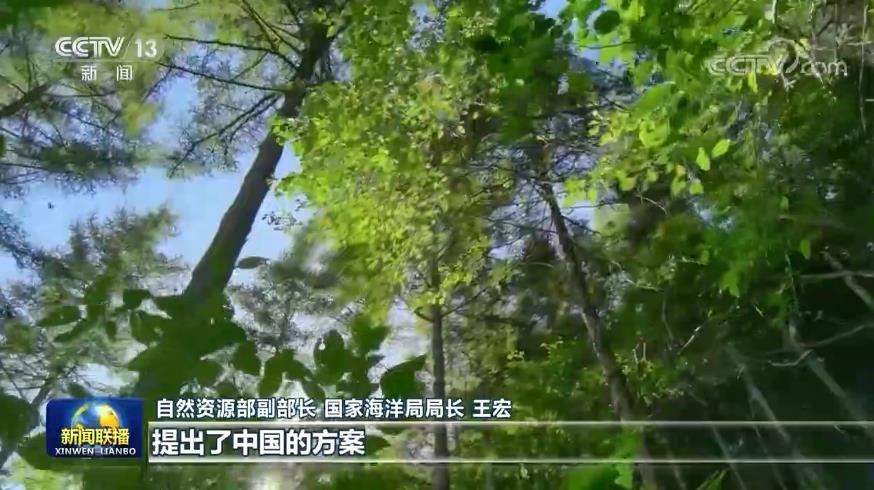 AMEC 宣布新任主席