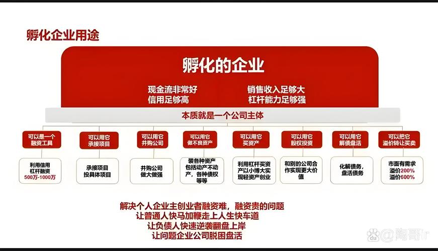 一个项目带动一个产业群