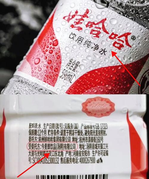 娃哈哈供应商欲冲刺IPO 曾采用违规方式获取融资