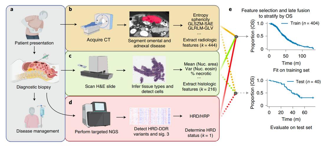 发表Cellworks前瞻性基因组生物模拟研究