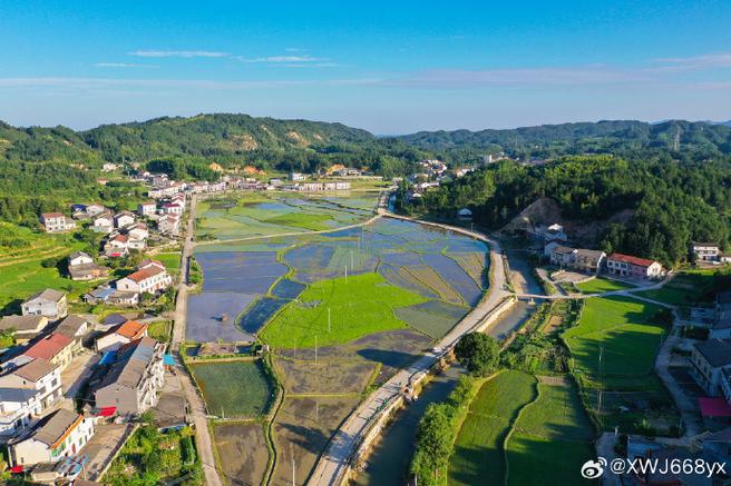 全国政协委员傅军:建议充分发挥好民企在乡村振兴中的作用