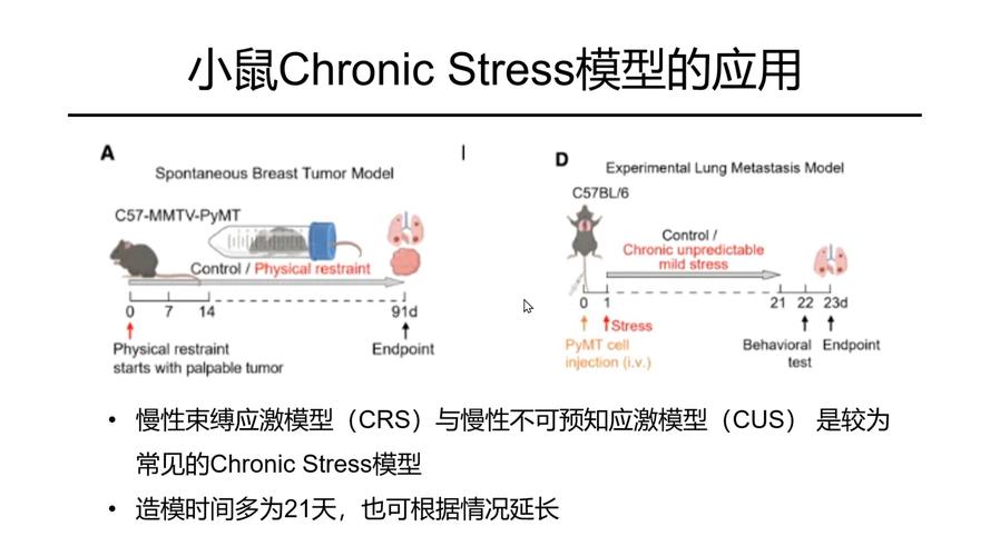 Taconic Biosciences推出新冠肺炎研究的关键模型