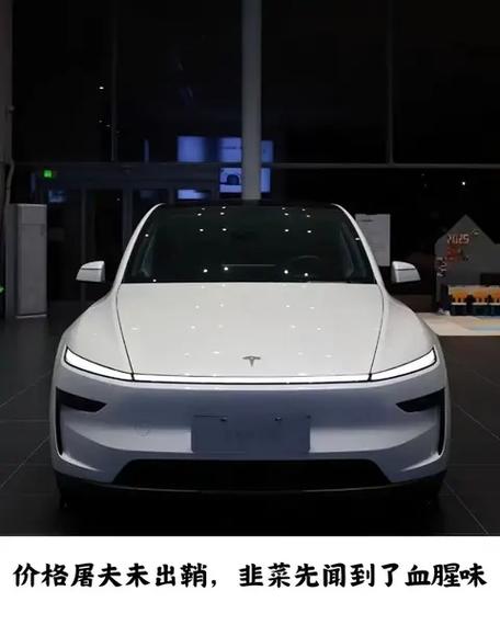 “中国韭菜”撑起世界首富:每收割一位车主,马斯克的身价就会更高