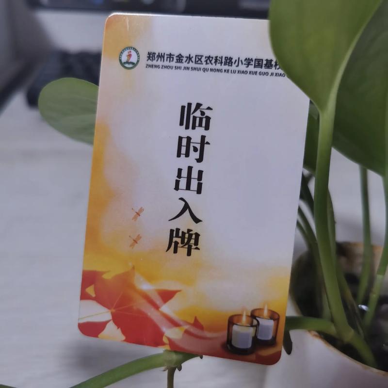 Triller推出Metaverz：您的全球娱乐一卡通通行证