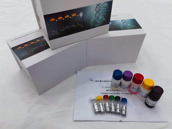 Taconic Biosciences推出首款小鼠模型,用于改善抗体治疗评估