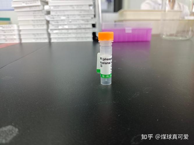 Taconic Biosciences推出首款小鼠模型，用于改善抗体治疗评估