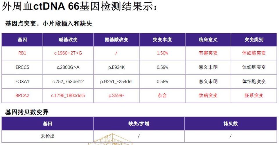 3期ARCHES试验五年随访结果：恩扎卢胺联合ADT治疗mHSPC前列腺癌可降低死亡风险30%
