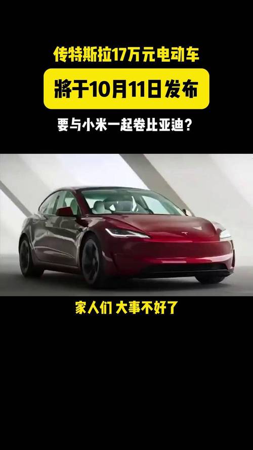 特斯拉的电动汽车梦，对手来实现！