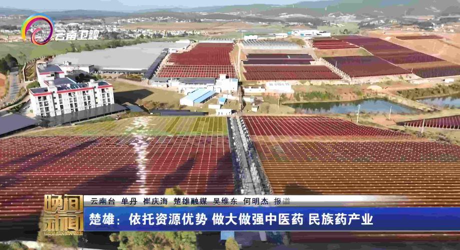 康恩贝集团在云南获得2.4万亩工业大麻种植许可