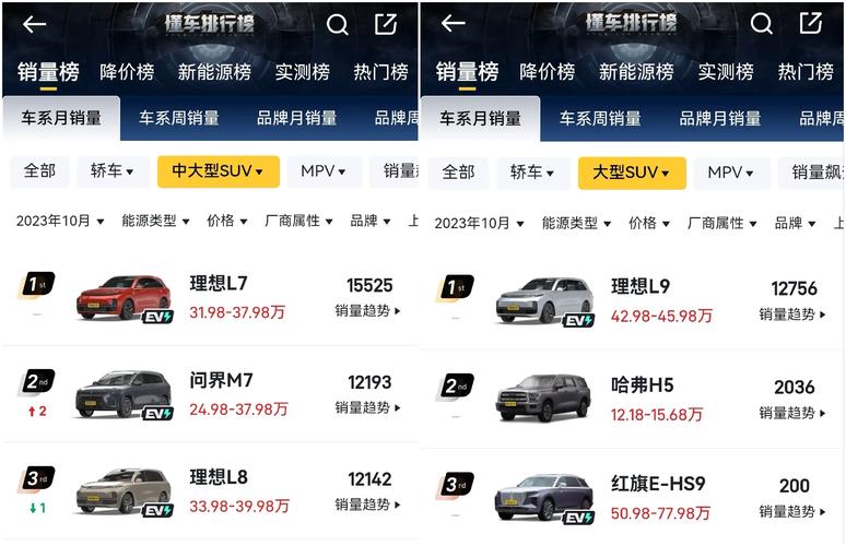涨价催生新能源车抢购潮 二线造车新势力承压