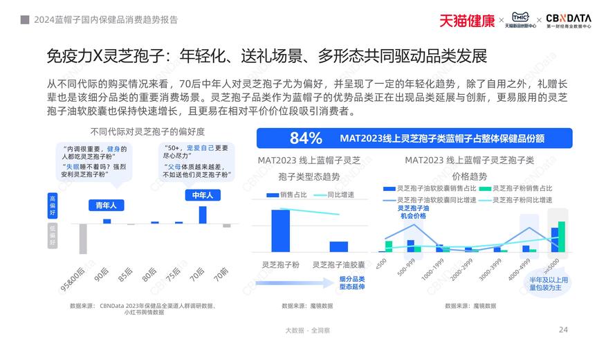 蓝帽子互动娱乐科技2024年度财务业绩报告：总资产激增53%