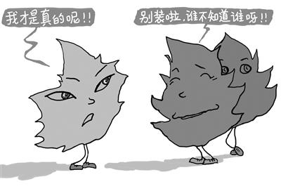 一片“香榭叶”折射的市场怪现状
