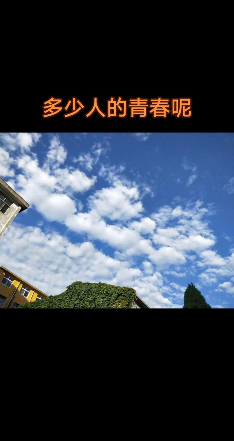 新版“人人”重回校园 但错过的青春可能回不来了