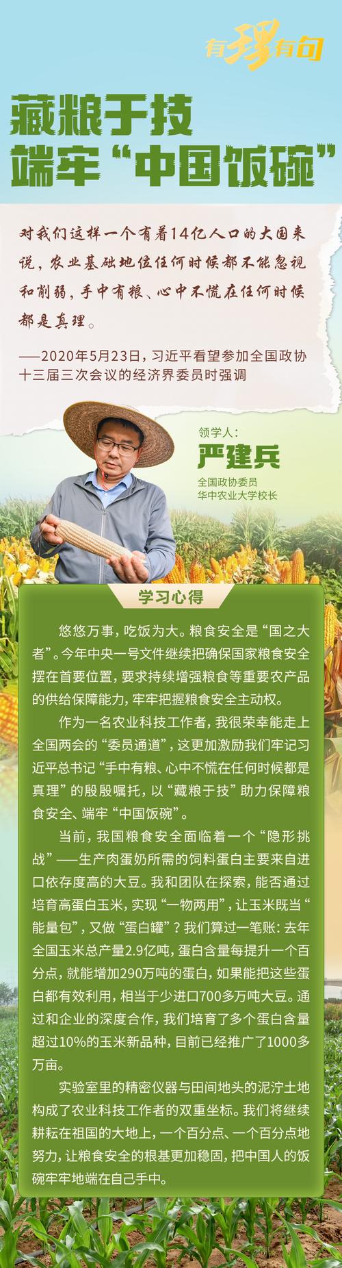 五省市农民工如何端牢饭碗：提升技能拓宽就业门路