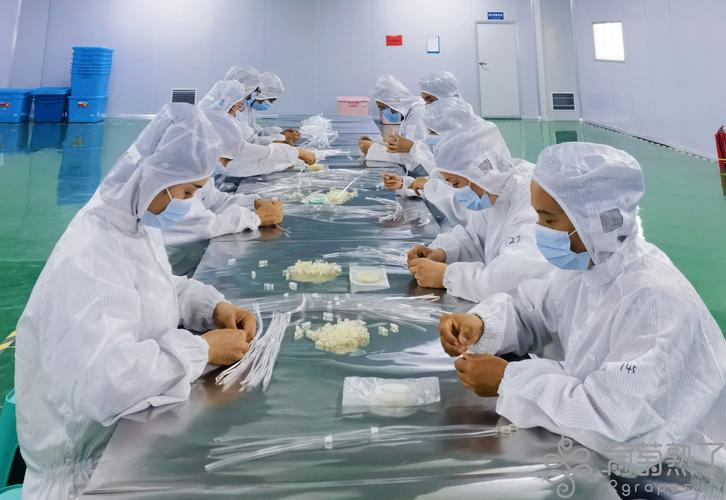 创新生物制药公司Apollomics完成1亿美元融资