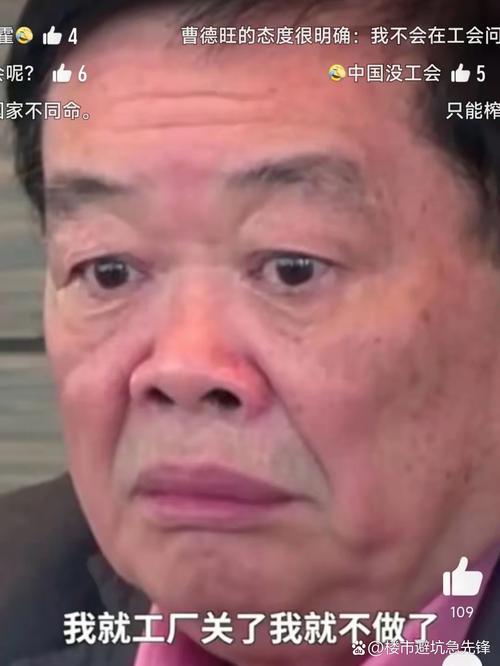 马斯克的中国工厂 vs 曹德旺的美国工厂