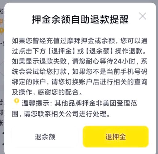 押金难退巨头败走,共享汽车的最终命运是死亡?