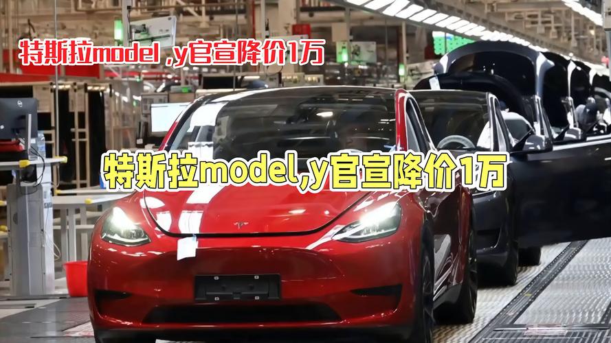 抢购特斯拉Model Y:价格吸引大 质量成最大软肋