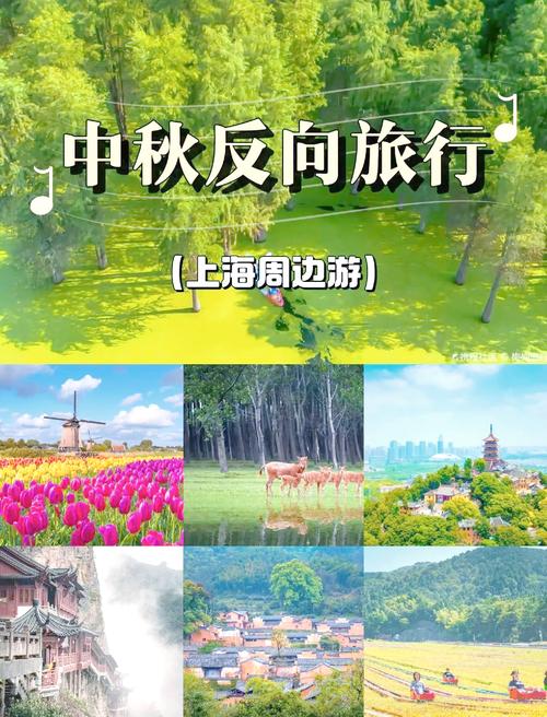 旅游市场复苏,超50%游客中秋选择周边游