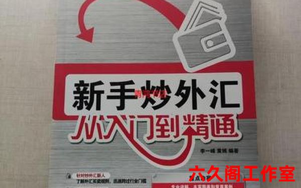 怎么炒外汇新手入门教程？