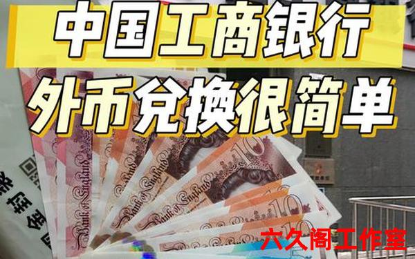 工商银行网上银行个人外汇业务只能换美元吗？