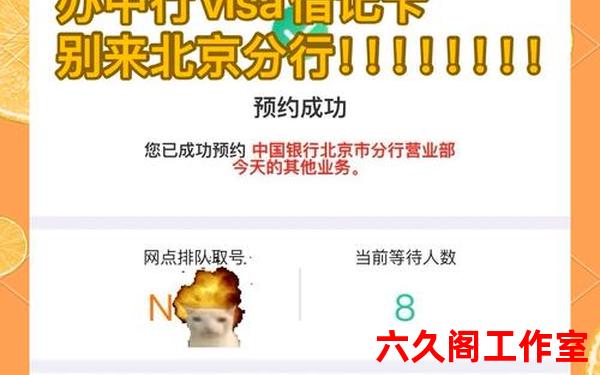 北京银行境外汇款就是visa吗？