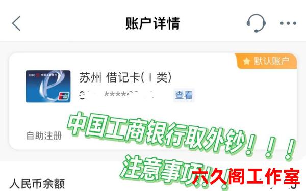 工商银行网上银行个人外汇业务只能换美元吗？