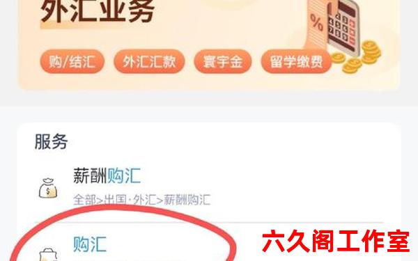 外钞户汇出汇款多少需经国家外汇管理局审核？