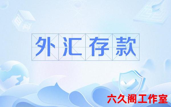 境内外汇储蓄存款是什么意思？
