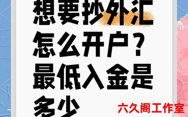 外汇入金为什么打给私人账户？