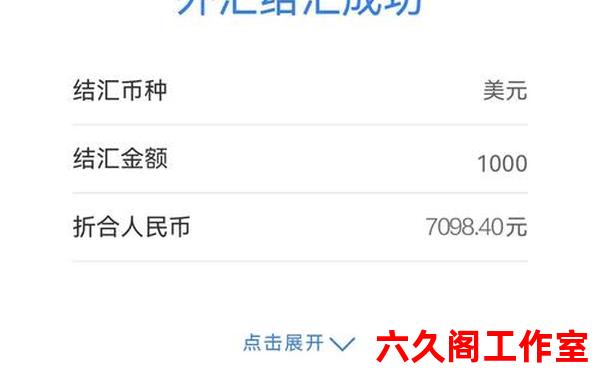 境内资本项目外汇账户包括哪些？