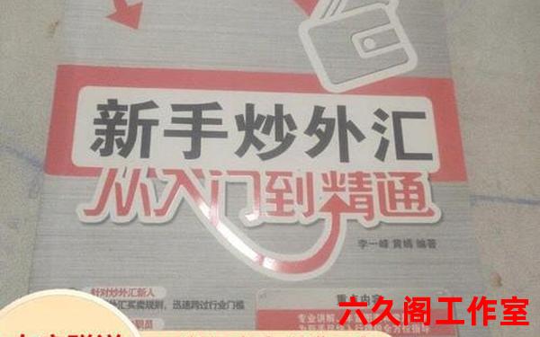 怎么炒外汇新手入门教程？