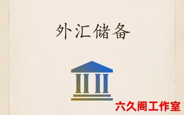 金融外汇是干什么的？