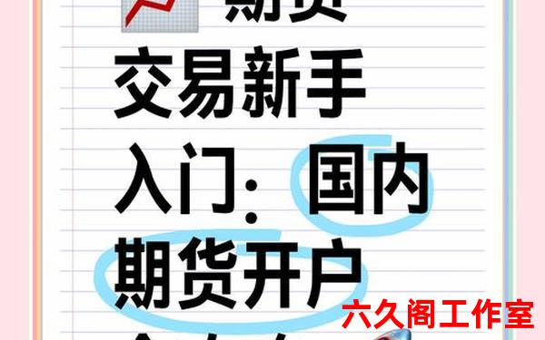 国内如何做外汇期货？